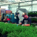 Kijkje in de keuken bij Leenders Plants