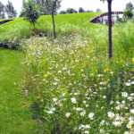 Tuin rond moderne ‘plaggenhut’