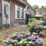 Hoe stimuleer je bewoners om de voortuin te vergroenen?