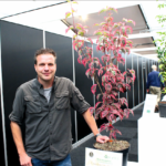 ’Iedereen wil toch zo’n plant  in zijn tuin?’