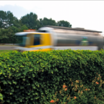 Beplantingsrichtlijn voor geluidsschermen