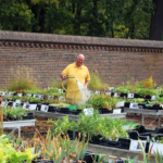 Kweken binnen de muren van een kasteel