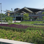 Tilburgs nieuwe stationstuin