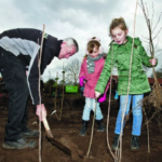 Grootse plannen met kleine bosjes