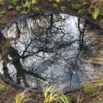 Gardenista: deze tuinontwerpers gaan ervoor!