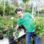 Veel tuincentra worstelen met webverkoop tuinplanten