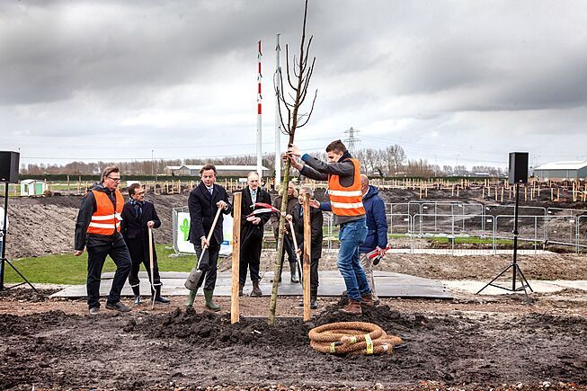 Bomen Geplant Op Nationaal Monument MH17 - Hortipoint