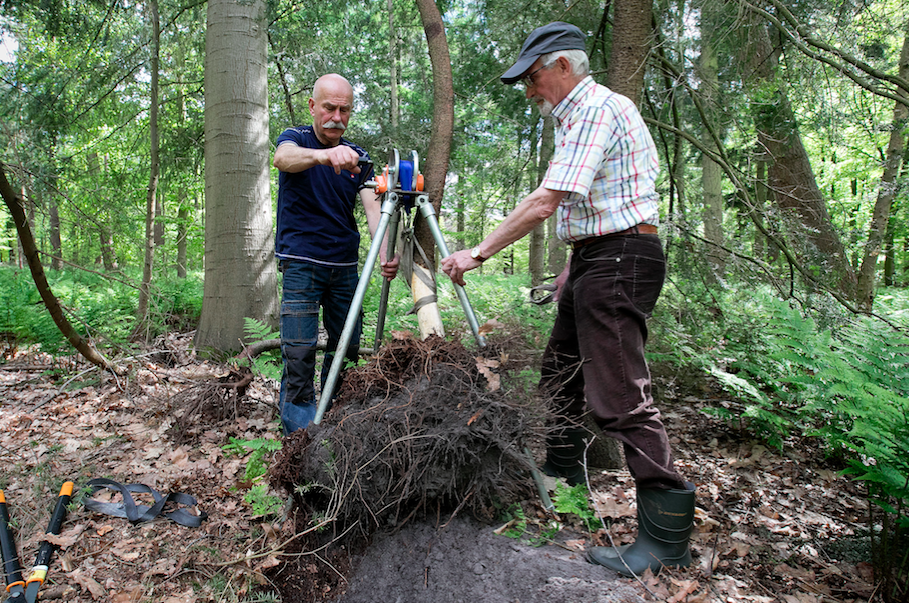 Bomen Ontwortelen Met ’stronkentrekker’ - Hortipoint