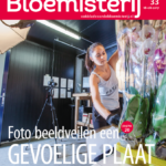 Cover VVB 2017 – 33