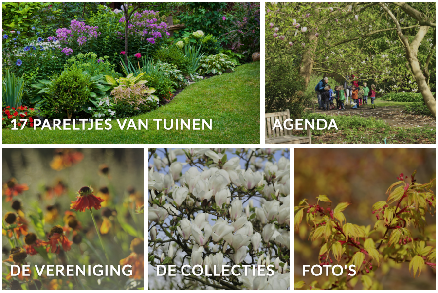 Botanische Tuinen België Verzameld Op één Website - Hortipoint