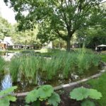 de Lingebrug hoveniers (3)