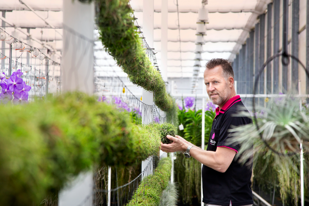 steef Hortipoint