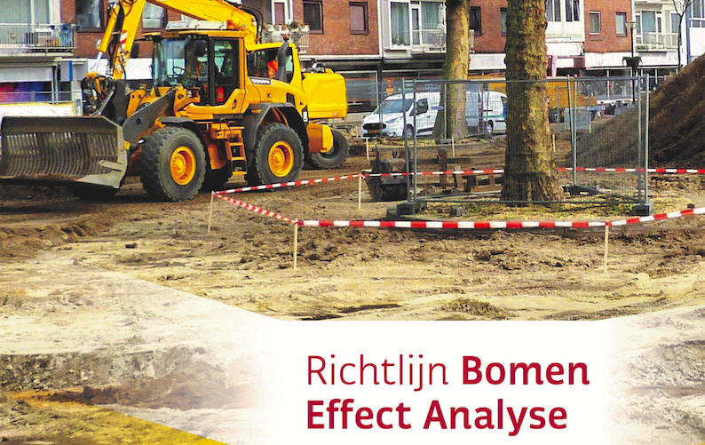 Richtlijn Bomen Effect Analyse Gepresenteerd - Hortipoint