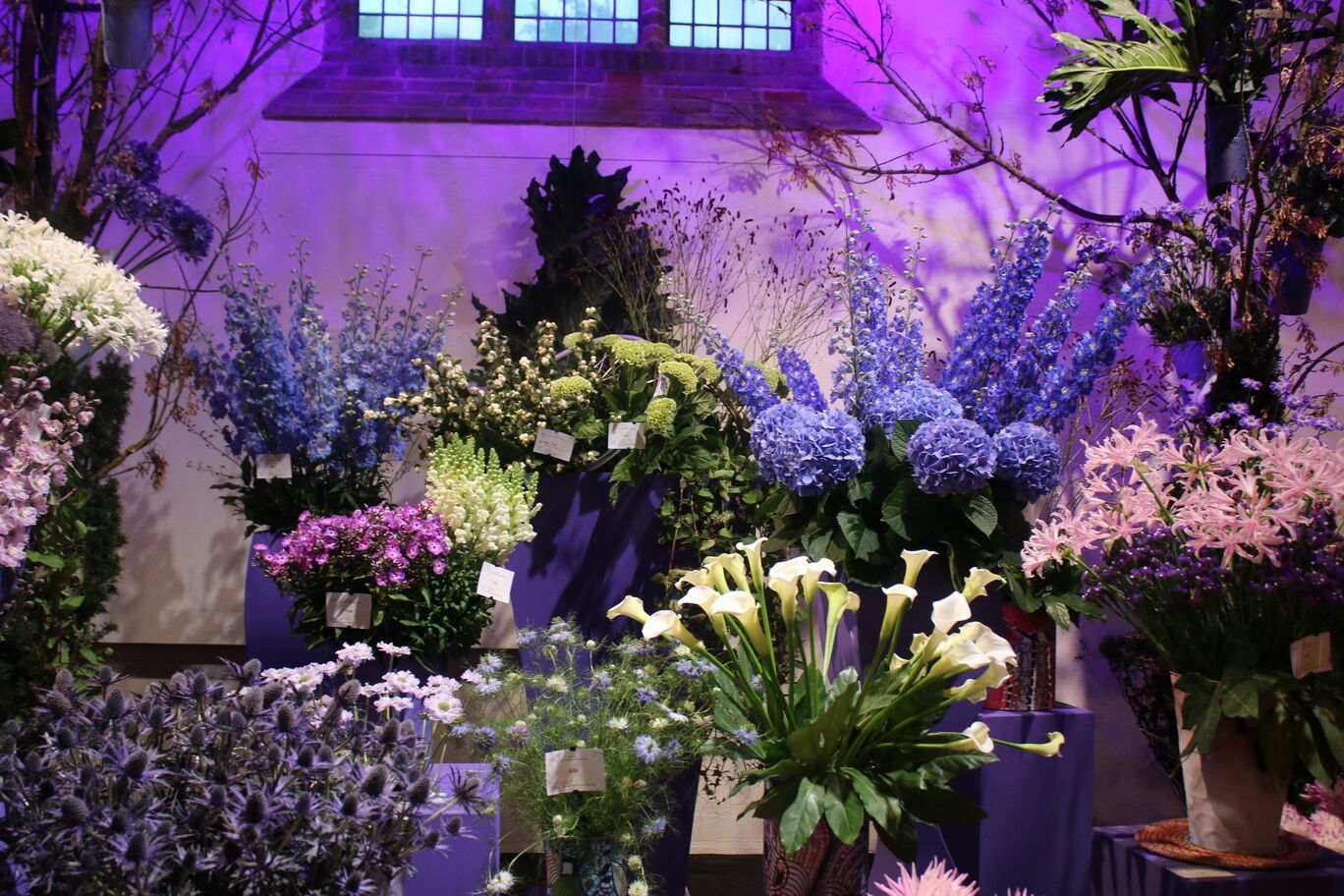 Lisianthus en Bouvardia in de hoofdrol bij NZBT Hortipoint