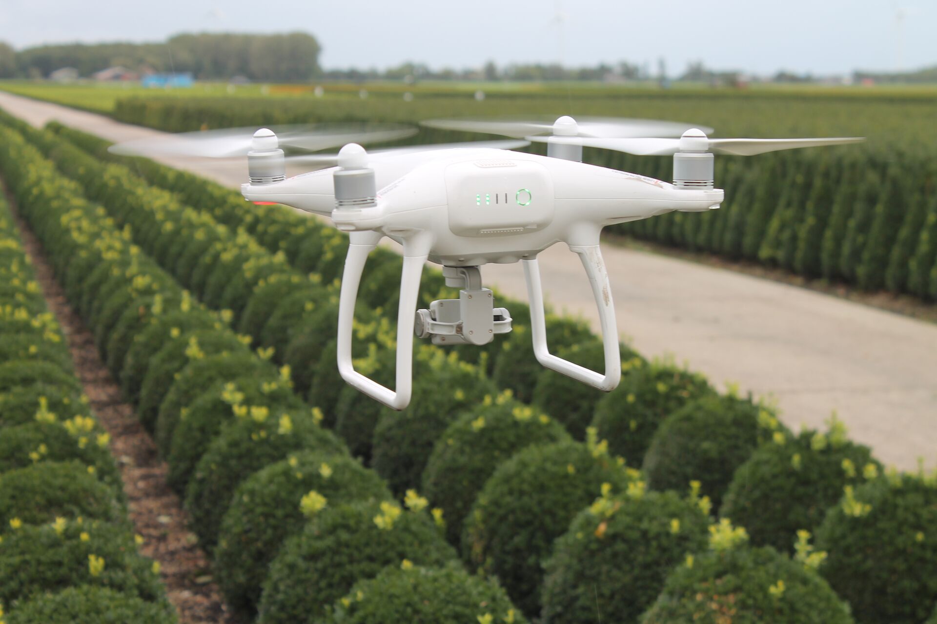 Drone helpt bij exacte gewastelling Hortipoint