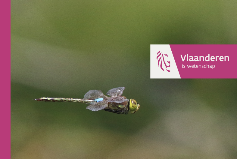 INBO Uit Zorgen Over Toestand Natuur In Vlaanderen - Hortipoint