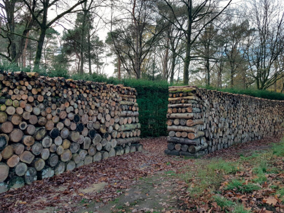 Bomen Kappen? Maak Er Een Mooi Landschapselement Van - Hortipoint